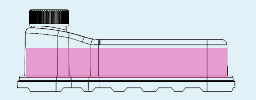 图片包含 图表 AI 生成的内容可能不正确。