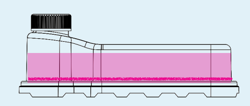 图示 AI 生成的内容可能不正确。
